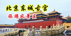 操逼啊啊啊啊,啊啊中国北京-东城古宫旅游风景区